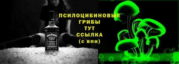 синтетический гашиш Новозыбков