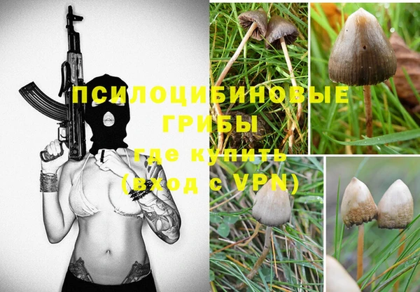 ECSTASY Новокубанск