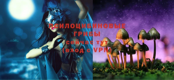синтетический гашиш Новозыбков