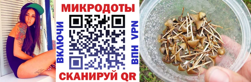 ссылка на мегу ССЫЛКА  Курск  Галлюциногенные грибы Cubensis  купить закладку 