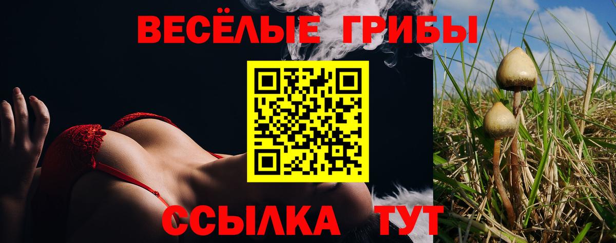 Галлюциногенные грибы мухоморы Курск